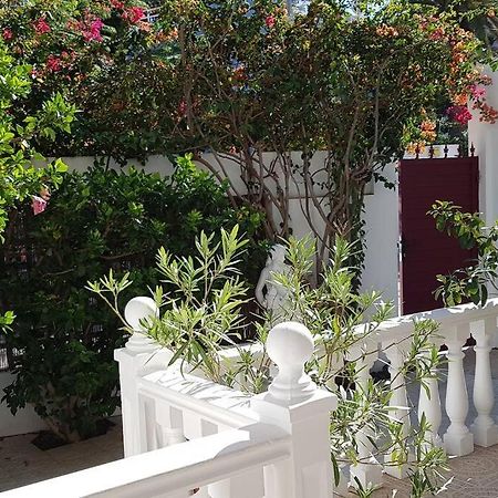 Apartamento Luminoso Con Patio Y Jardin Puerto de la Cruz  Exterior photo