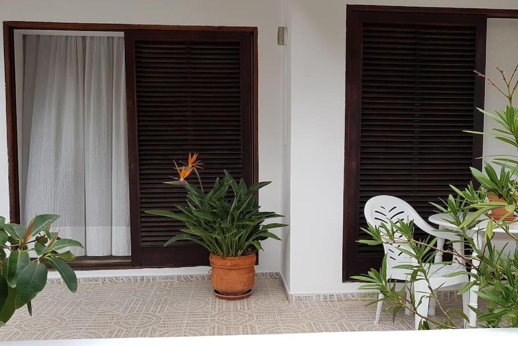 Apartamento Luminoso Con Patio Y Jardin Puerto de la Cruz  Exterior photo