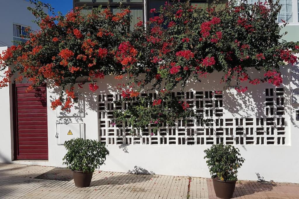 Apartamento Luminoso Con Patio Y Jardin Puerto de la Cruz  Exterior photo